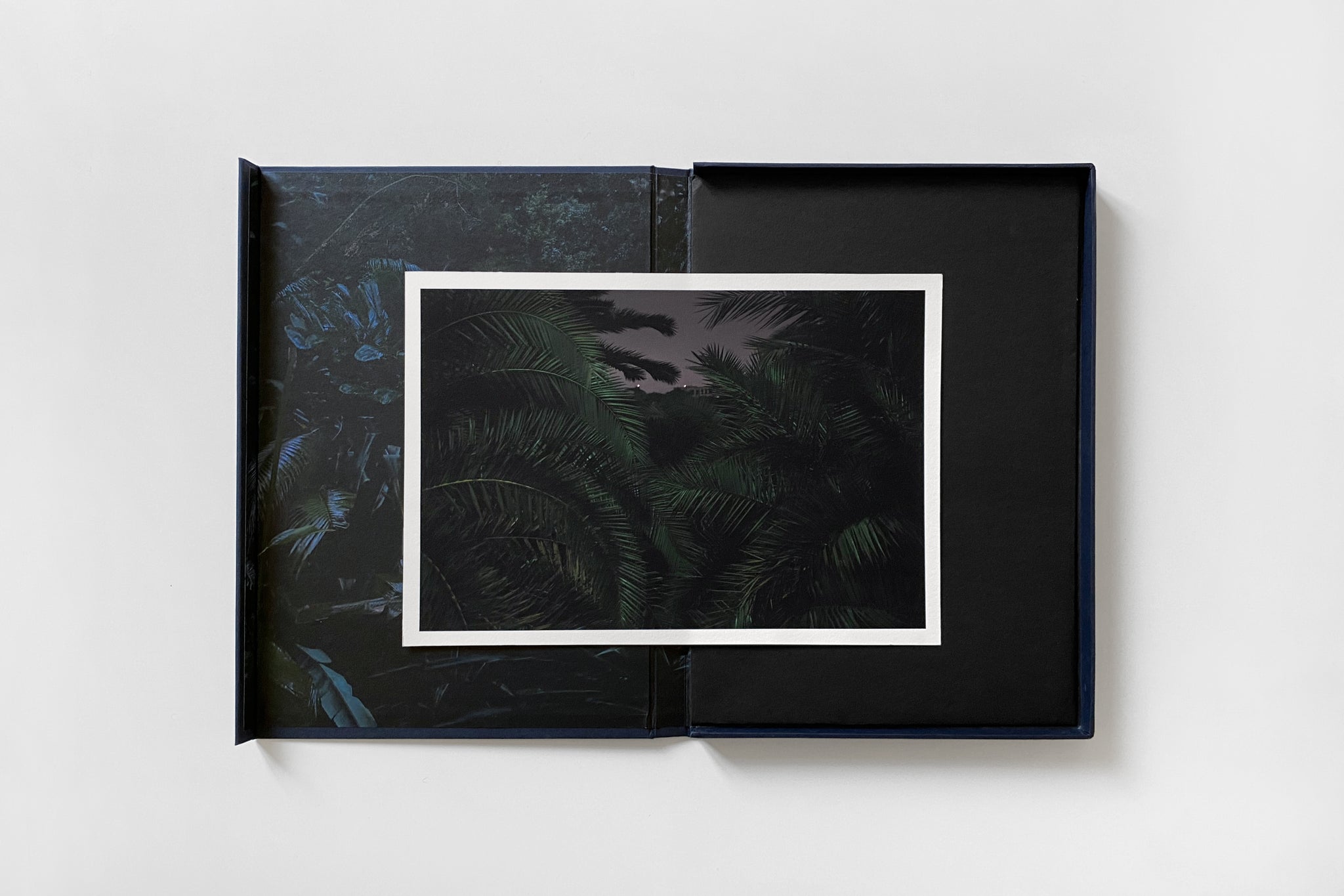 Silvia Mariotti, DE UMA ESTRELA À OUTRA [Collector's Edition]