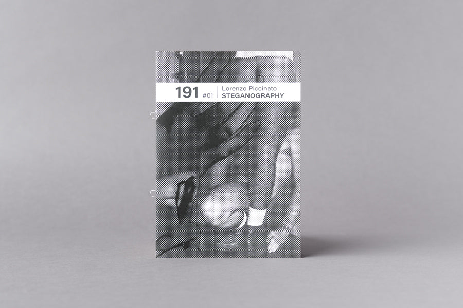 191 #01 - L. Piccinato, STEGANOGRAHY