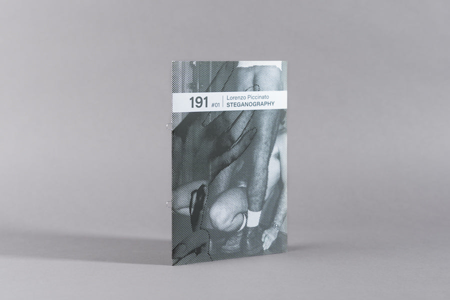 191 #01 - L. Piccinato, STEGANOGRAHY