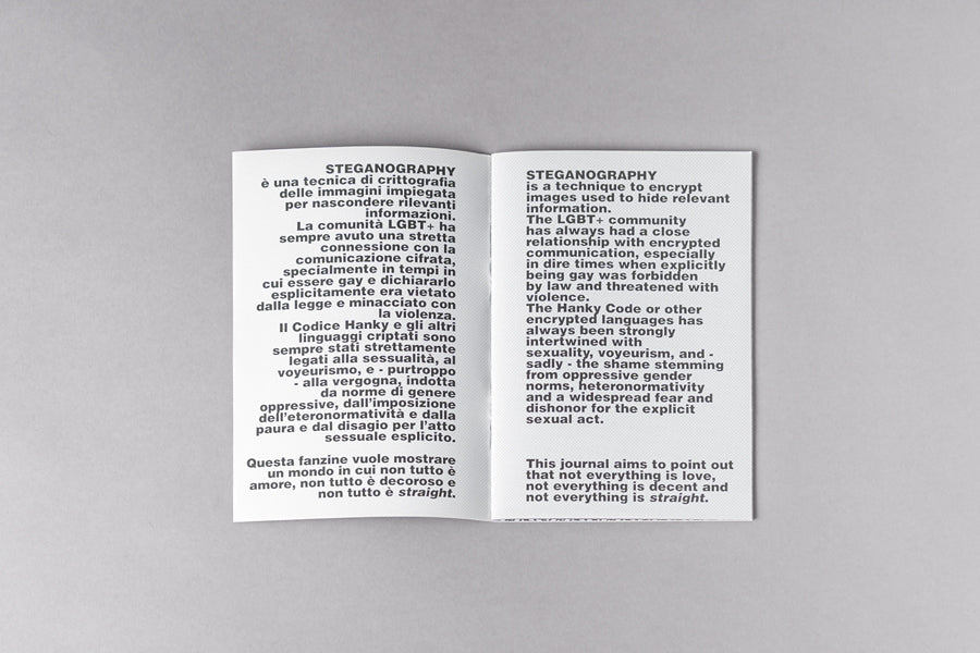 191 #01 - L. Piccinato, STEGANOGRAHY