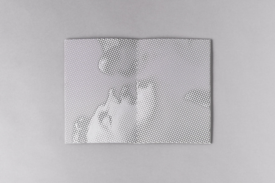 191 #01 - L. Piccinato, STEGANOGRAHY