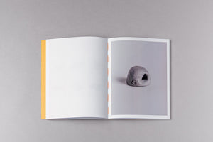 Maximiliano Tineo, HEARTH