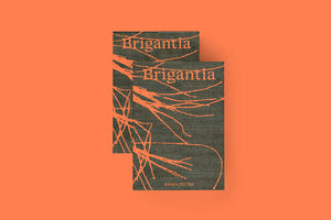 Annika Pettini, BRIGANTIA *pre-order*